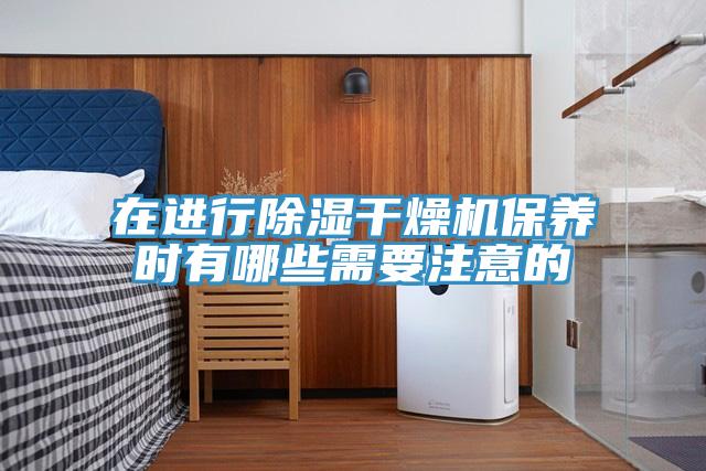 在進行除濕干燥機保養(yǎng)時有哪些需要注意的