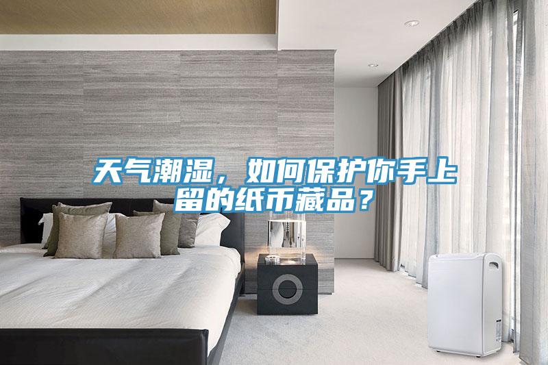 天氣潮濕，如何保護(hù)你手上留的紙幣藏品？