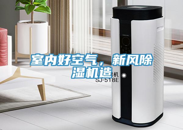 室內(nèi)好空氣，新風(fēng)除濕機(jī)造