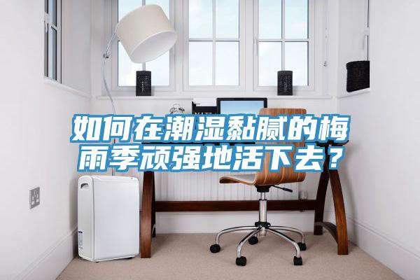 如何在潮濕黏膩的梅雨季頑強(qiáng)地活下去？