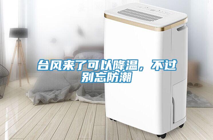 臺(tái)風(fēng)來(lái)了可以降溫，不過(guò)別忘防潮