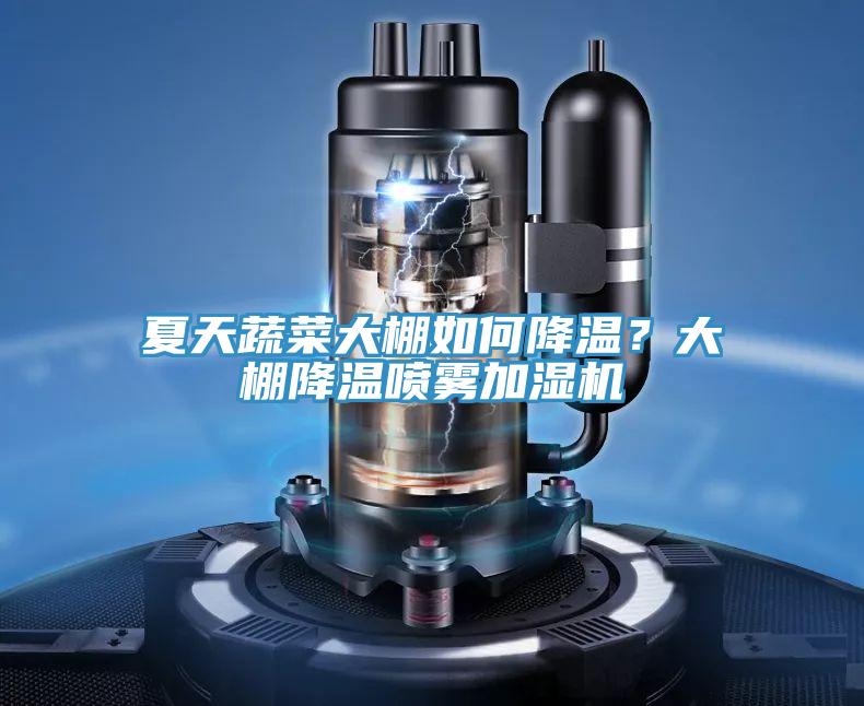 夏天蔬菜大棚如何降溫？大棚降溫噴霧加濕機(jī)