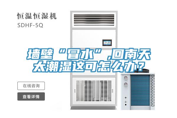 墻壁“冒水”,回南天太潮濕這可怎么辦？