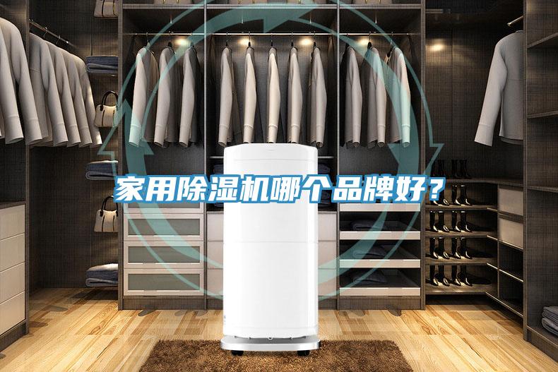 家用除濕機(jī)哪個品牌好？