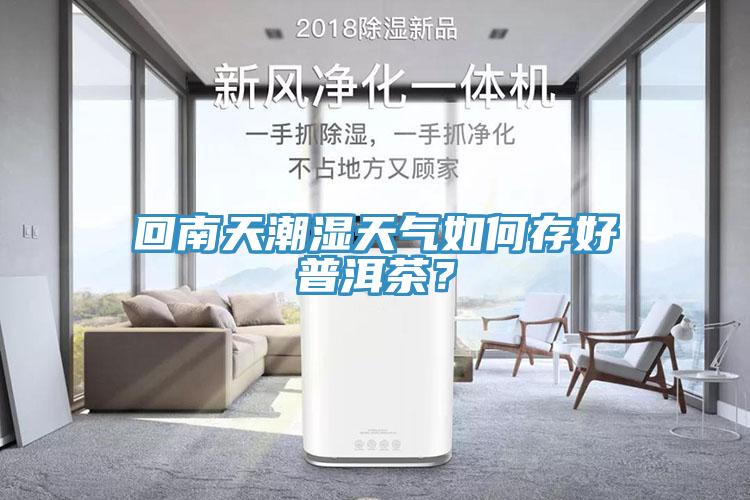 回南天潮濕天氣如何存好普洱茶？