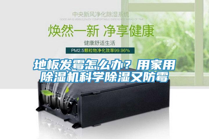 地板發(fā)霉怎么辦？用家用除濕機(jī)科學(xué)除濕又防霉