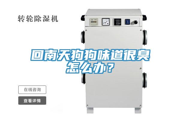回南天狗狗味道很臭怎么辦？
