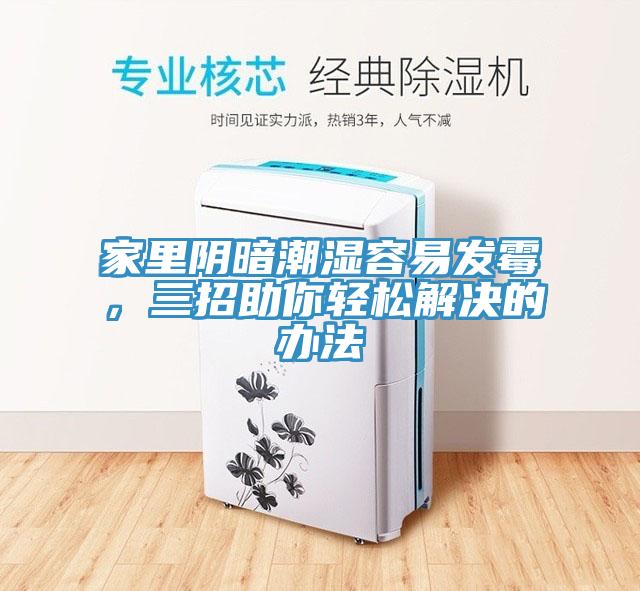 家里陰暗潮濕容易發(fā)霉，三招助你輕松解決的辦法
