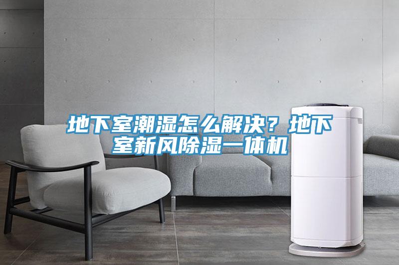 地下室潮濕怎么解決？地下室新風除濕一體機