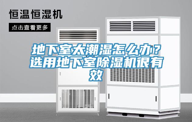 地下室太潮濕怎么辦？選用地下室除濕機很有效