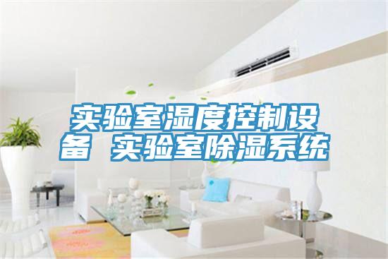 實驗室濕度控制設(shè)備 實驗室除濕系統(tǒng)