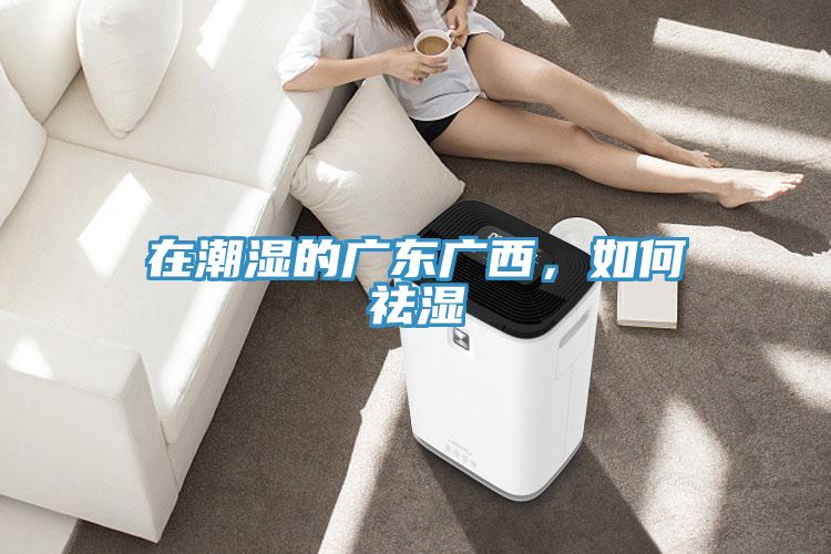 在潮濕的廣東廣西，如何祛濕