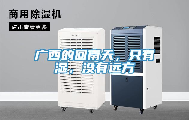 廣西的回南天，只有濕，沒(méi)有遠(yuǎn)方