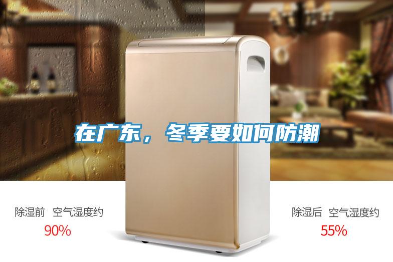 在廣東，冬季要如何防潮