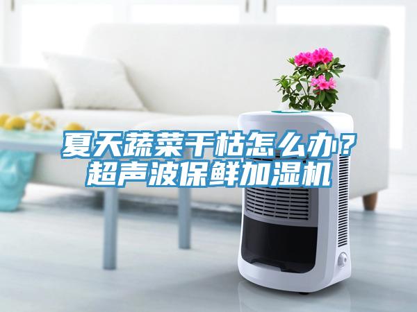 夏天蔬菜干枯怎么辦？超聲波保鮮加濕機(jī)