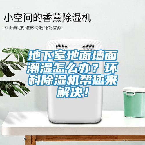 地下室地面墻面潮濕怎么辦？環(huán)科除濕機幫您來解決！