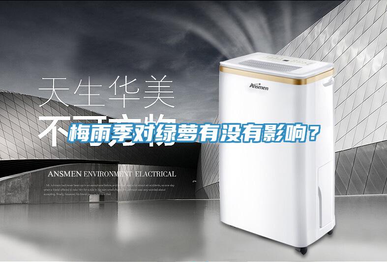 梅雨季對(duì)綠蘿有沒(méi)有影響？
