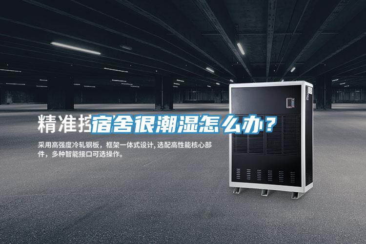 宿舍很潮濕怎么辦？