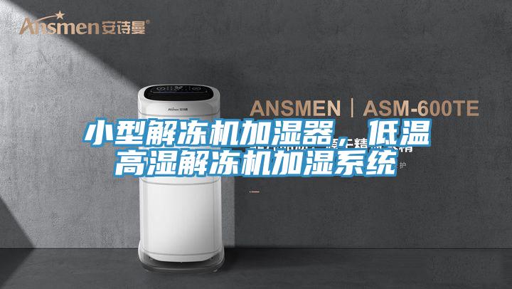 小型解凍機(jī)加濕器，低溫高濕解凍機(jī)加濕系統(tǒng)