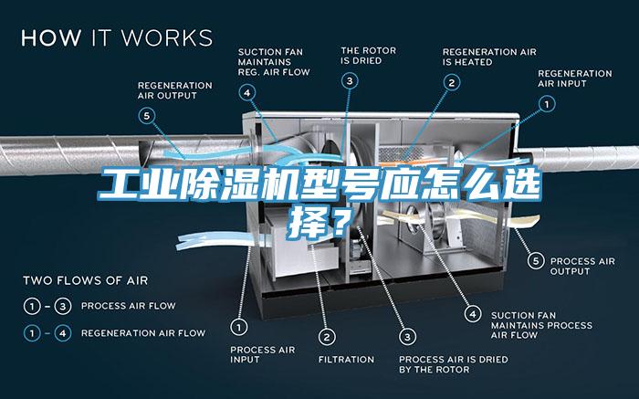 工業(yè)除濕機型號應怎么選擇？