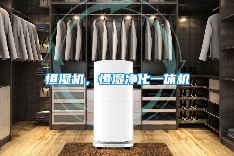 恒濕機，恒濕凈化一體機