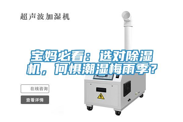 寶媽必看：選對除濕機(jī)，何懼潮濕梅雨季？