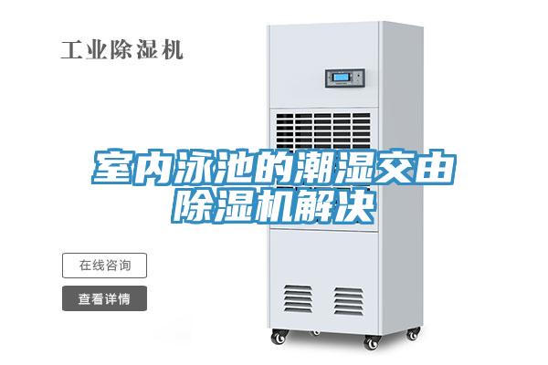 室內(nèi)泳池的潮濕交由除濕機解決