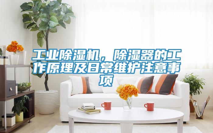 工業(yè)除濕機(jī)，除濕器的工作原理及日常維護(hù)注意事項