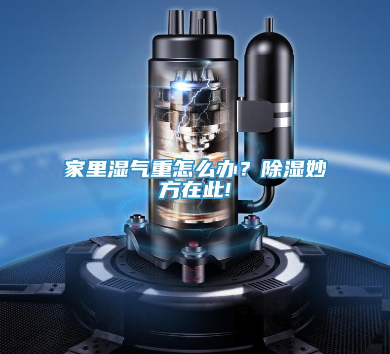 家里濕氣重怎么辦？除濕妙方在此!
