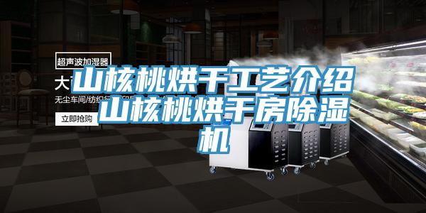 山核桃烘干工藝介紹 山核桃烘干房除濕機(jī)