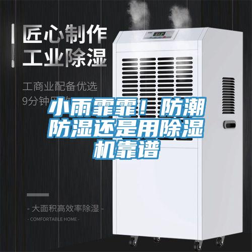 小雨霏霏！防潮防濕還是用除濕機(jī)靠譜