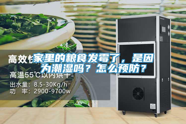家里的糧食發(fā)霉了，是因為潮濕嗎？怎么預(yù)防？
