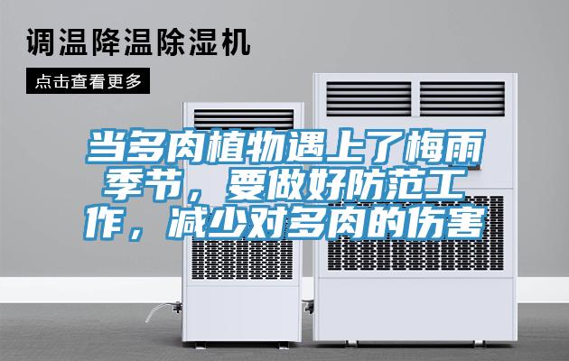 當(dāng)多肉植物遇上了梅雨季節(jié)，要做好防范工作，減少對(duì)多肉的傷害