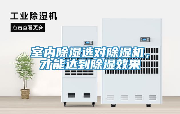 室內(nèi)除濕選對(duì)除濕機(jī)，才能達(dá)到除濕效果