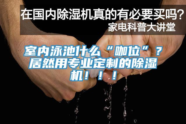 室內(nèi)泳池什么“咖位”？居然用專業(yè)定制的除濕機(jī)！??！
