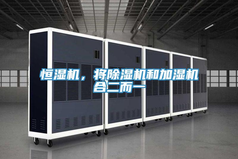 恒濕機，將除濕機和加濕機合二而一