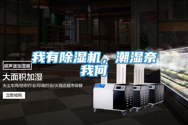 我有除濕機，潮濕奈我何