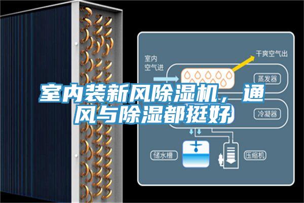 室內(nèi)裝新風(fēng)除濕機(jī)，通風(fēng)與除濕都挺好