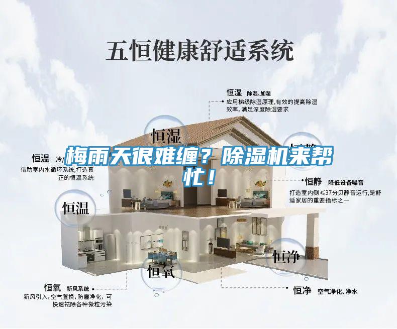 梅雨天很難纏？除濕機(jī)來幫忙！