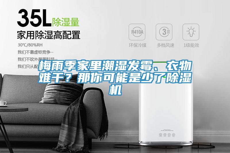 梅雨季家里潮濕發(fā)霉、衣物難干？那你可能是少了除濕機
