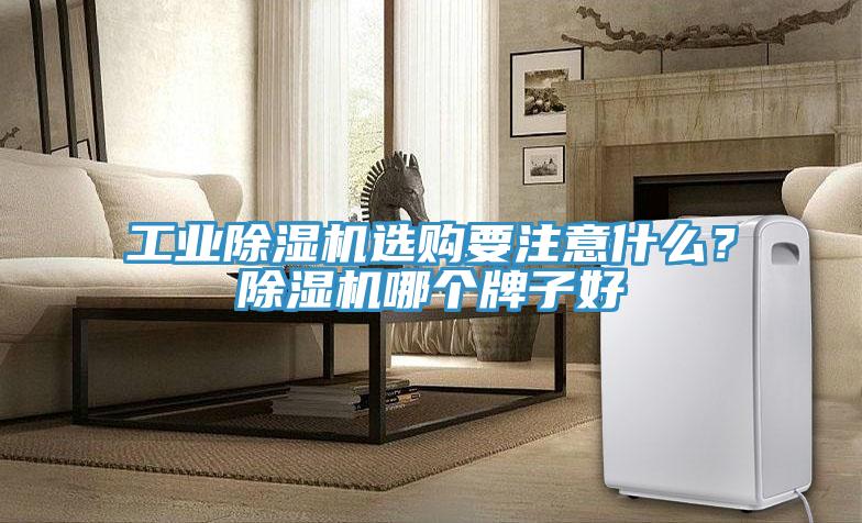 工業(yè)除濕機選購要注意什么？除濕機哪個牌子好