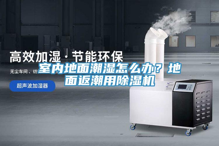 室內(nèi)地面潮濕怎么辦？地面返潮用除濕機