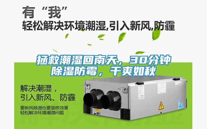 拯救潮濕回南天，30分鐘除濕防霉，干爽如秋