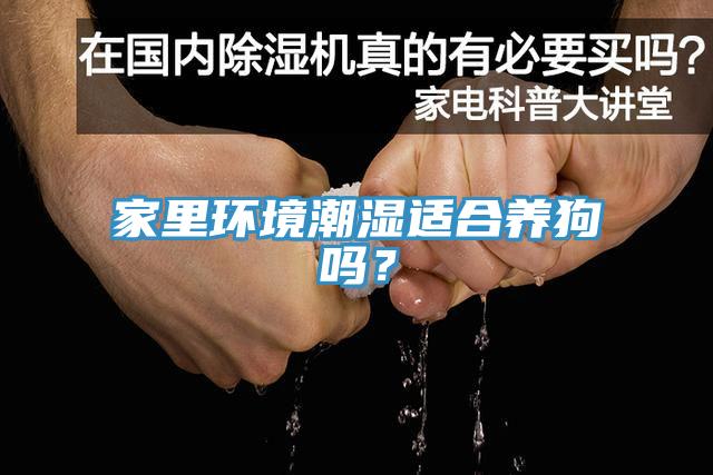 家里環(huán)境潮濕適合養(yǎng)狗嗎？