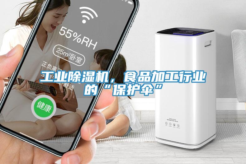 工業(yè)除濕機(jī)，食品加工行業(yè)的“保護(hù)傘”