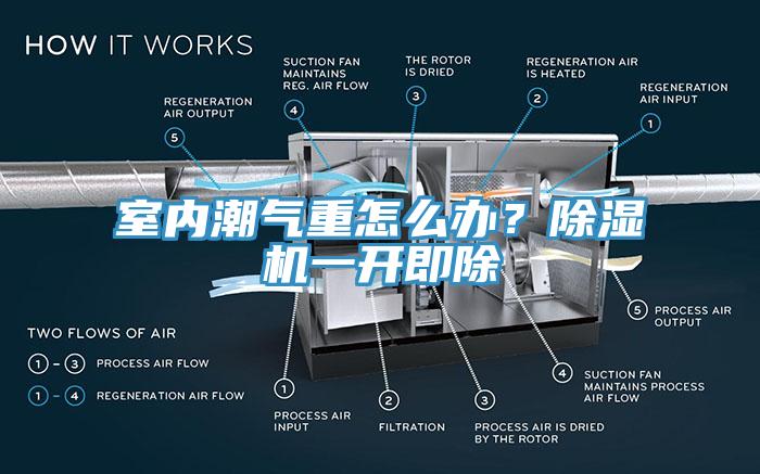 室內(nèi)潮氣重怎么辦？除濕機(jī)一開即除
