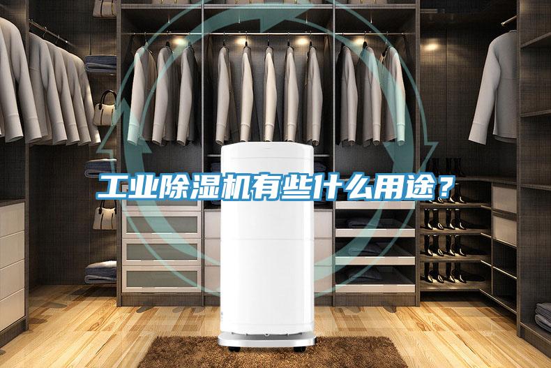 工業(yè)除濕機(jī)有些什么用途？