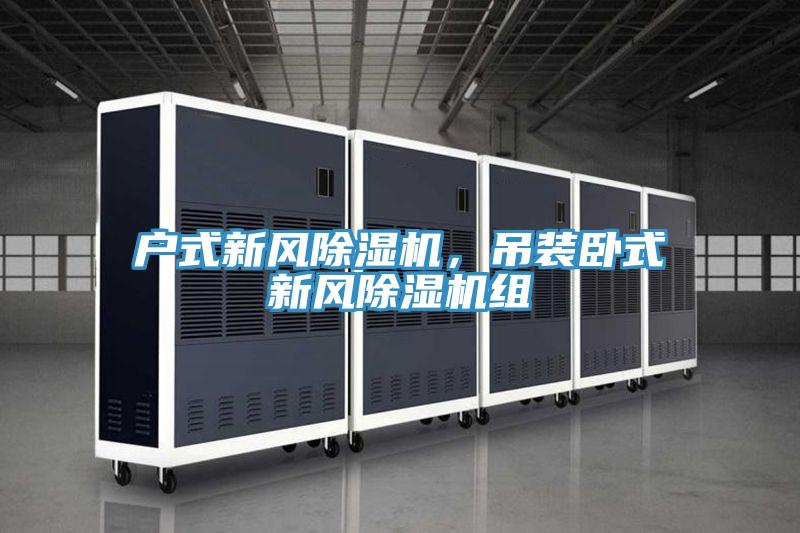 戶式新風(fēng)除濕機(jī)，吊裝臥式新風(fēng)除濕機(jī)組