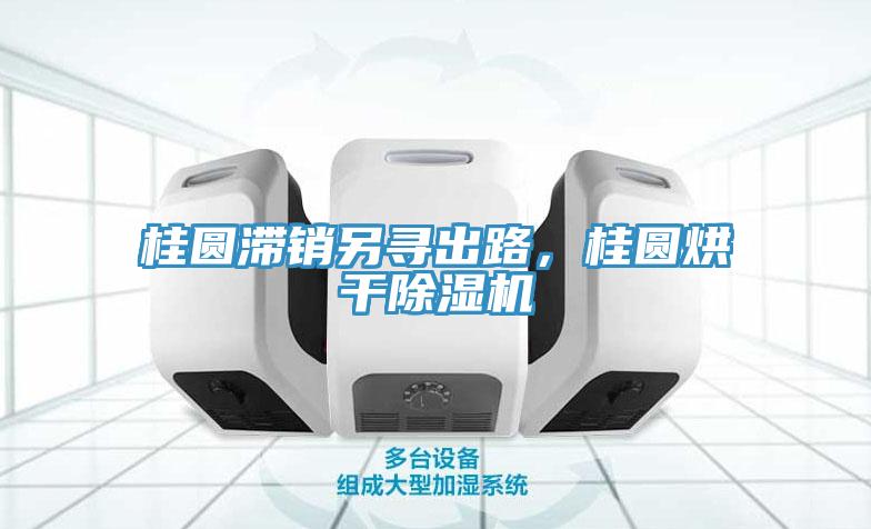 桂圓滯銷另尋出路，桂圓烘干除濕機(jī)