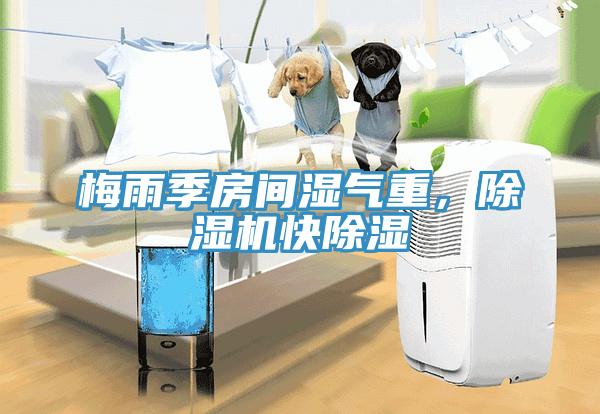 梅雨季房間濕氣重，除濕機(jī)快除濕